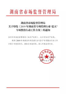2019年湖南省专利代理行业 蓝天 专项整治行动工作方案