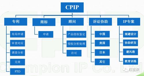 选择红坚果,用it赋能ip管理