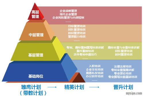 华进知识产权线上招聘会专场