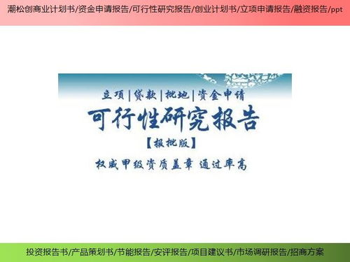 商丘市项目项目创业计划书ppt招商融资报告ppt代写公司